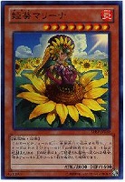CNo．96 ブラック・ストーム【遊戯王トレカ高価買取価格