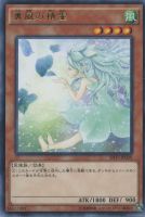 【遊戯王】レア◇裏風の精霊