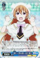 【ヴァイス】ＳＲ◇夏だって夢の国へ　近江　彼方