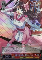 【ヴァイス】SR◇蒼天に咲く剣 さくら