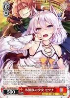 SPカード「ハイテンション傍若無人エクスプレス ハルヒ」 ヴァイス ハイテンション傍若無人エクスプレス ハルヒ カード