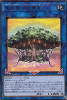 【遊戯王】レア◇聖天樹の大精霊