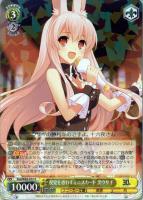 【ヴァイス】R◇視覚を惑わすミニスカート 黒ウサギ