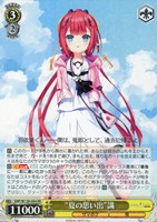 【ヴァイス】RR◇“夏の思い出”識