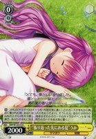 【ヴァイス】C◇“振り返った先にある夏”うみ