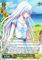 【ヴァイス】SR◇“ひまわり畑”しろは