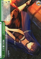 【ヴァイス】RRR◇明日に備えて