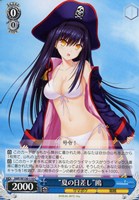 【ヴァイス】C◇“夏の日差し”鴎