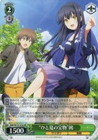 “ひと夏の宝物”鴎