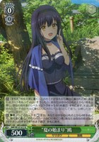 “夏の始まり”鴎