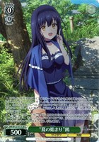 “夏の始まり”鴎