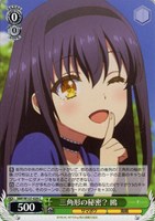 三角形の秘密？ 鴎