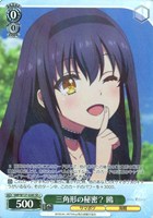 三角形の秘密？ 鴎