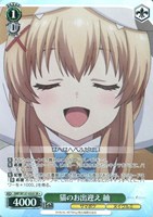 猫のお出迎え 紬