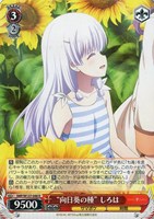 “向日葵の種” しろは