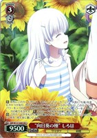 “向日葵の種” しろは