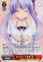 見つけた“七影蝶”蒼