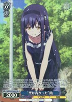 “空は青かった”鴎