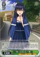 夏の思い出”紬【ヴァイスシュヴァルツトレカお買得価格通販：トレコロ】