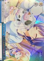 サマードレス鴎sp2枚セット まんぞく屋 格安TCG通販 / !☆パラ☆ (SP) SMP/W130-030SP