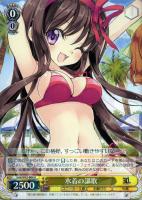【ヴァイス】R◇水着の謳歌