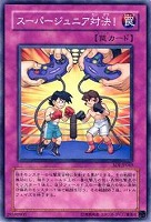 破滅の女神ルイン【遊戯王トレカ高価買取価格査定：トレコロ】