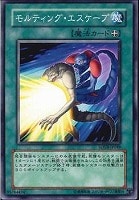 【遊戯王】ノーマル◇モルティング・エスケープ