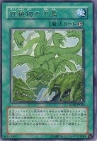 【遊戯王】レア◇狂植物の氾濫