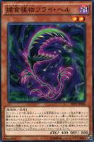 【遊戯王】ノーマル）モンスター◇捕食植物フライ・ヘル