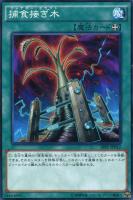 【遊戯王】ノーマル)魔法◇捕食接ぎ木