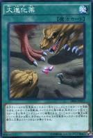 【遊戯王】ノーマル)魔法◇大進化薬