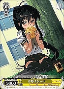 【ヴァイス】TD◇戸惑うシャナ