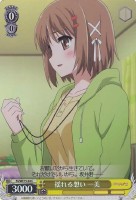 【ヴァイス】C)ホロ仕様◇揺れる想い 一美