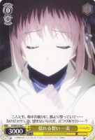 【ヴァイス】C)ノーマル仕様◇揺れる想い 一美