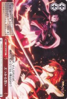 【ヴァイス】C)ノーマル仕様◇ぶつかる想い