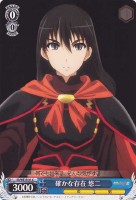 【ヴァイス】C)ノーマル仕様◇確かな存在 悠二
