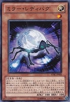 【遊戯王】ノーマル)モンスター◆ミラー・レディバグ