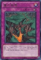 【遊戯王】レア◇重力崩壊
