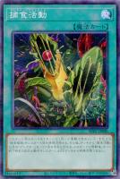 【遊戯王】パラレルレア◇捕食活動