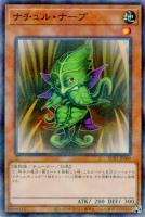 【最安値】 遊戯王 センターカード & YCS VIP倶利伽羅天童 最安値】 遊戯王 センターカード & YCS VIP倶利伽羅天童 最安値