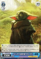 【ヴァイス】N◇“ジェダイを探す旅”グローグー