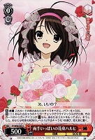 カードを買う/ヴァイスシュヴァルツ/【W】ヴァイスサイド（2012