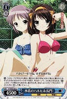 【ヴァイス】U◇水着のハルヒ&長門