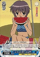 【ヴァイス】TD◇スイカを食べる長門