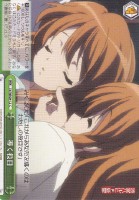 【ヴァイス】C)ノーマル仕様◇導く役目
