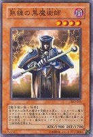 【遊戯王】ノーマル◇熟練の黒魔術師