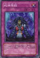 強欲な贈り物 遊戯王トレカ高価買取価格査定 トレコロ 強欲な贈り物 遊戯王トレカ高価買取価格査定 トレコロ