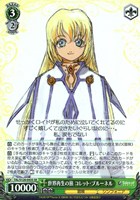 世界再生の旅 コレット・ブルーネル