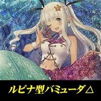 ルピナ型バミューダ△