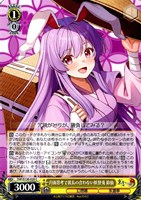 月面思考で波長の合わない妖怪兎 鈴仙